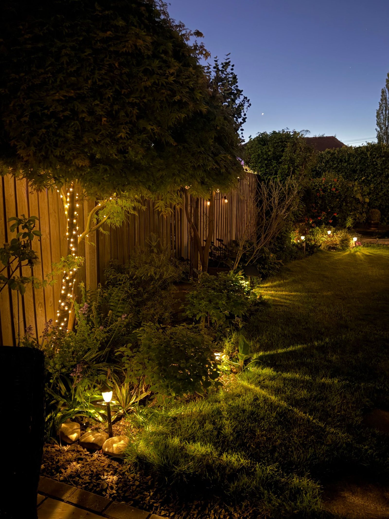 Reference image. A lighting plan doing its job after dark — boundaries washed softly, planting uplit, and light kept low where the levels change.